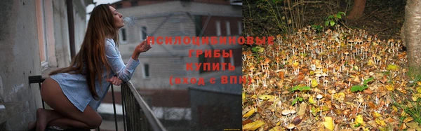 дурь Баксан