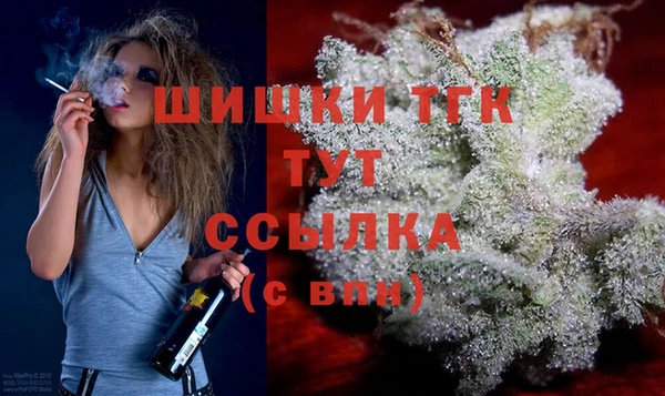 сатива Ростов